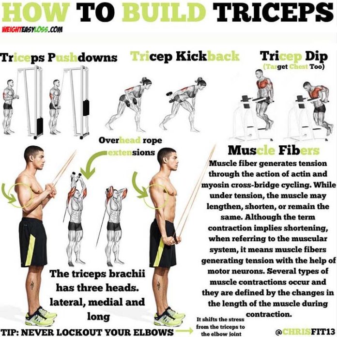 Chest & Triceps Exercises
