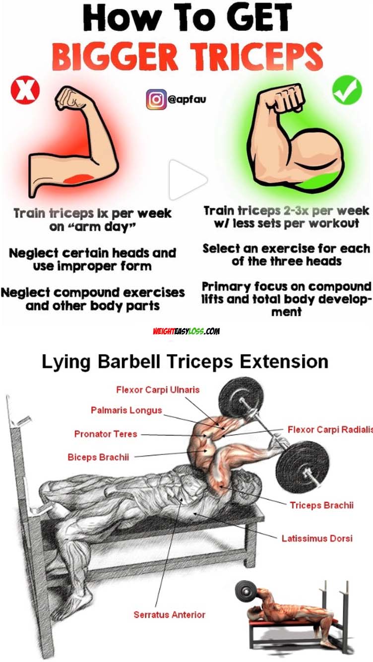 How to get bigger triceps