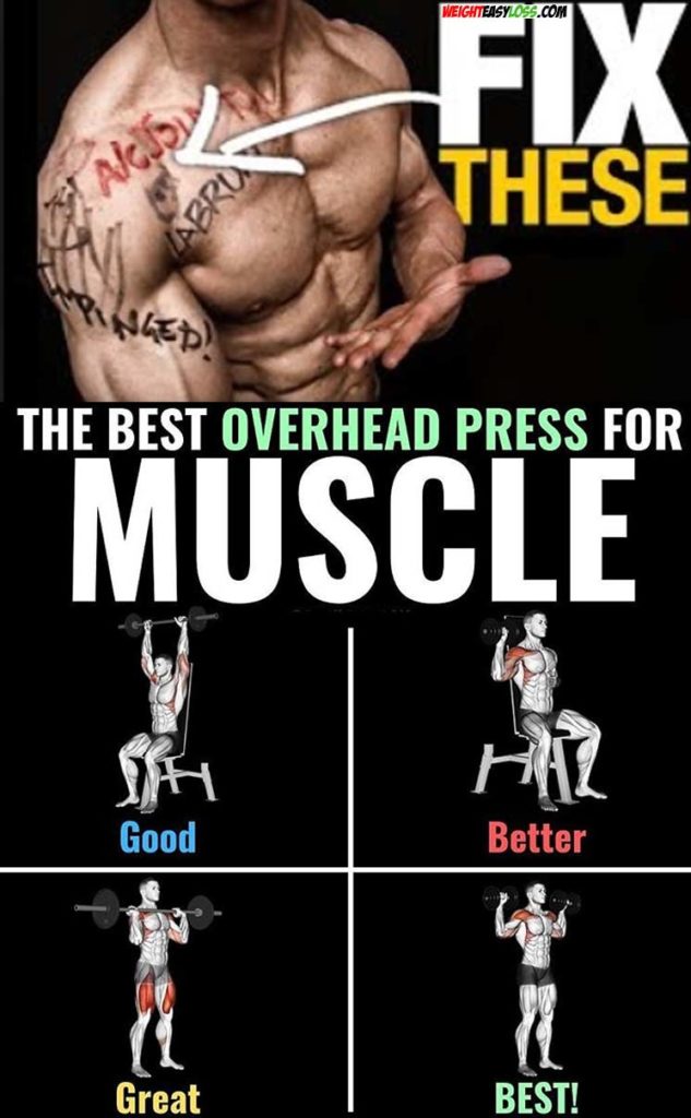 TIPS SHOULDER WORKOUT