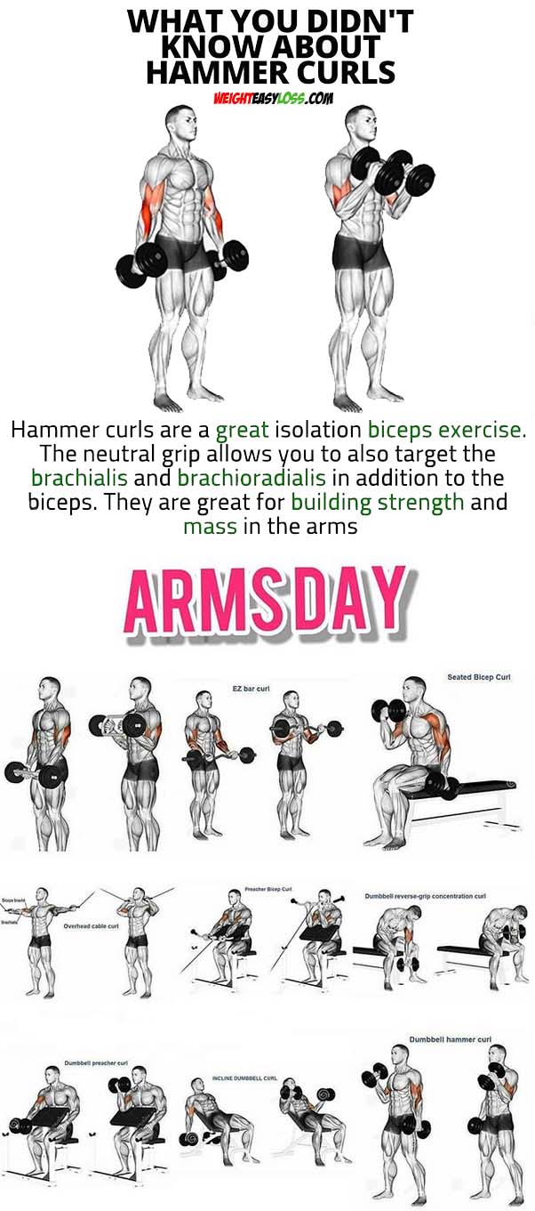 ARM DAY WORKOUT