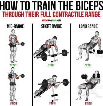 🔥TRAIN THE BICEPS | 👇GUIDE