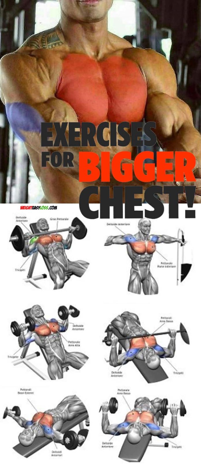 Exercises For Bigger Chest | Picture & Guide