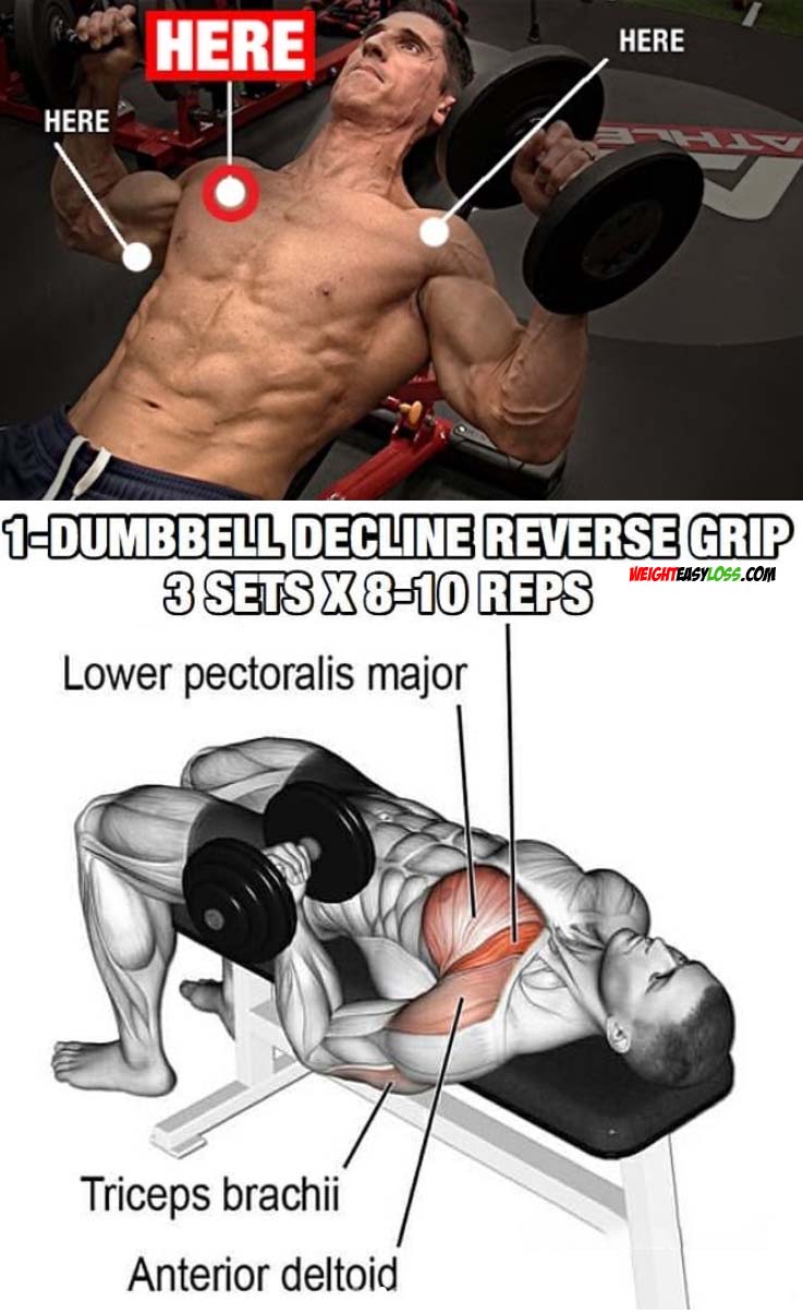 Dumbbell Chest Workout