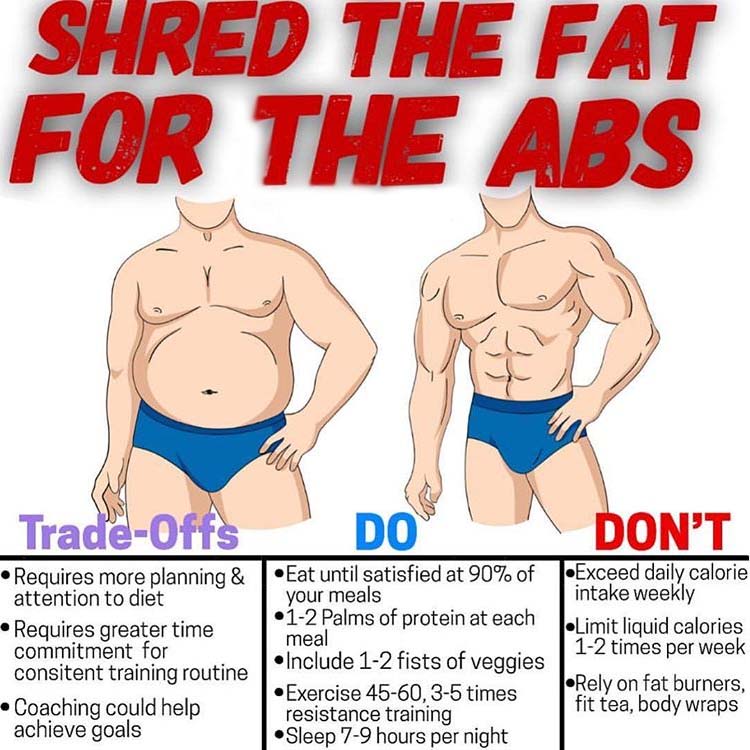 Shred the Fat For The Abs