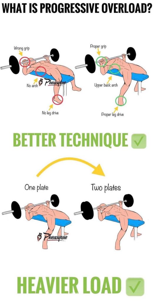 HOW TO PROGRESSIVE OVERLOAD