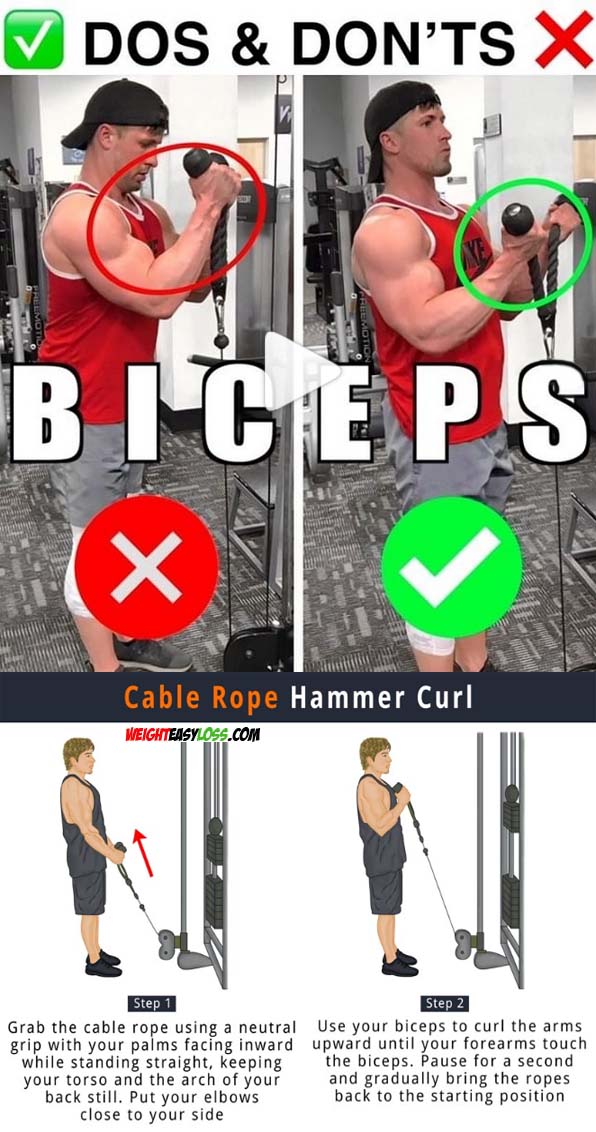 Cable Rope Curls