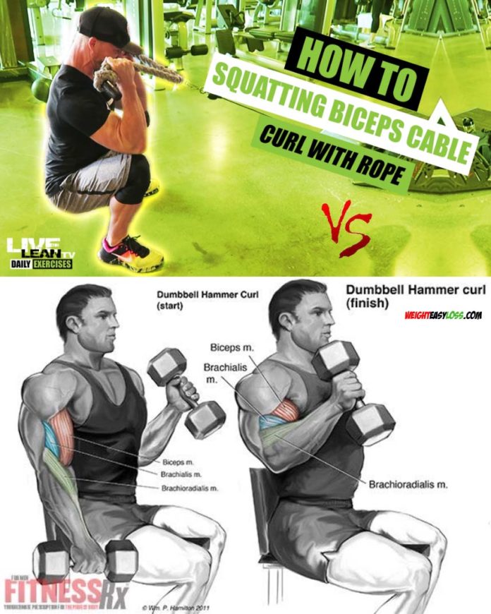 Cable Rope Hammer Curl Exercise Making Your Arms Bigger