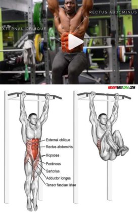 Knee-Ups for Abs | Video & Guide