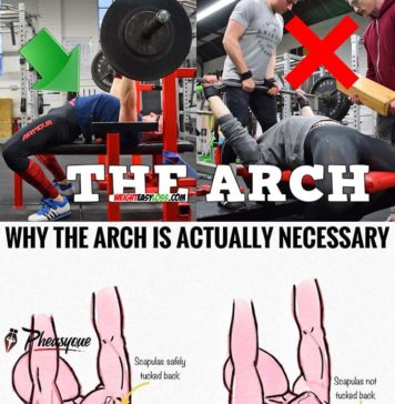 🚨WHY THE BENCH ARCH IS ACTUALLY NECESSARY