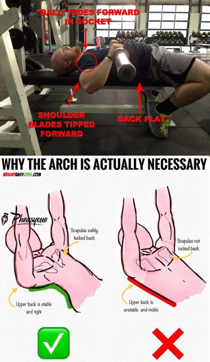 WHY THE BENCH ARCH IS ACTUALLY NECESSARY
