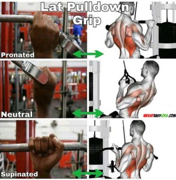 🔥How to Lat PullDown | 👇Picture & Guide