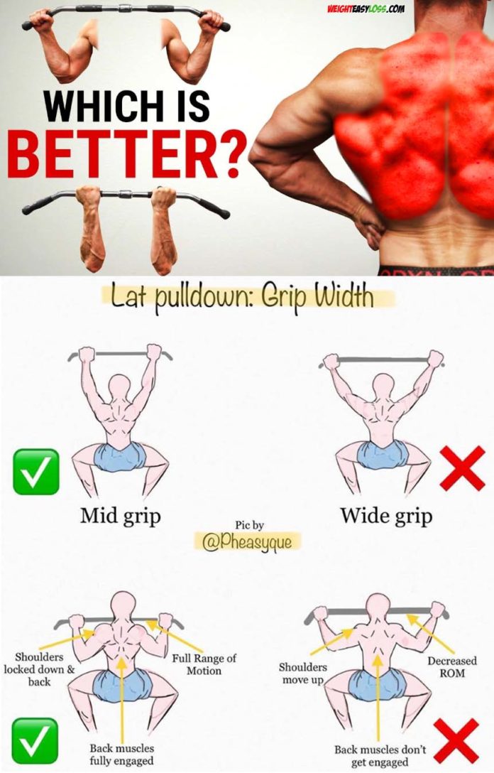 6 Day Lat Pulldown Muscles Used for Women