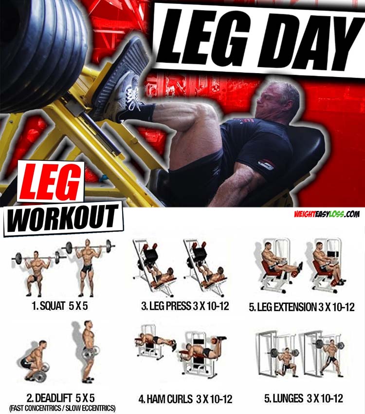 Leg Day Workout