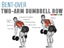 🚨BACK WORKOUT TRUE GUIDE