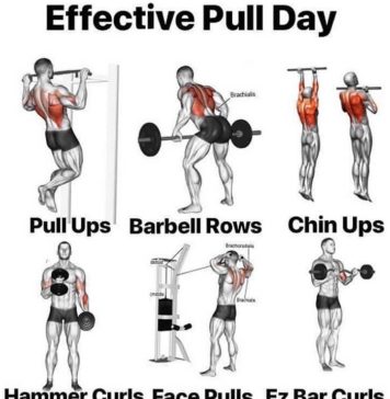 💪Pull Day Tips & Guide