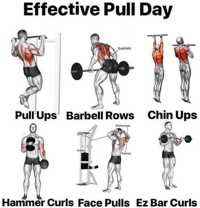Pull Day Tips & Guide