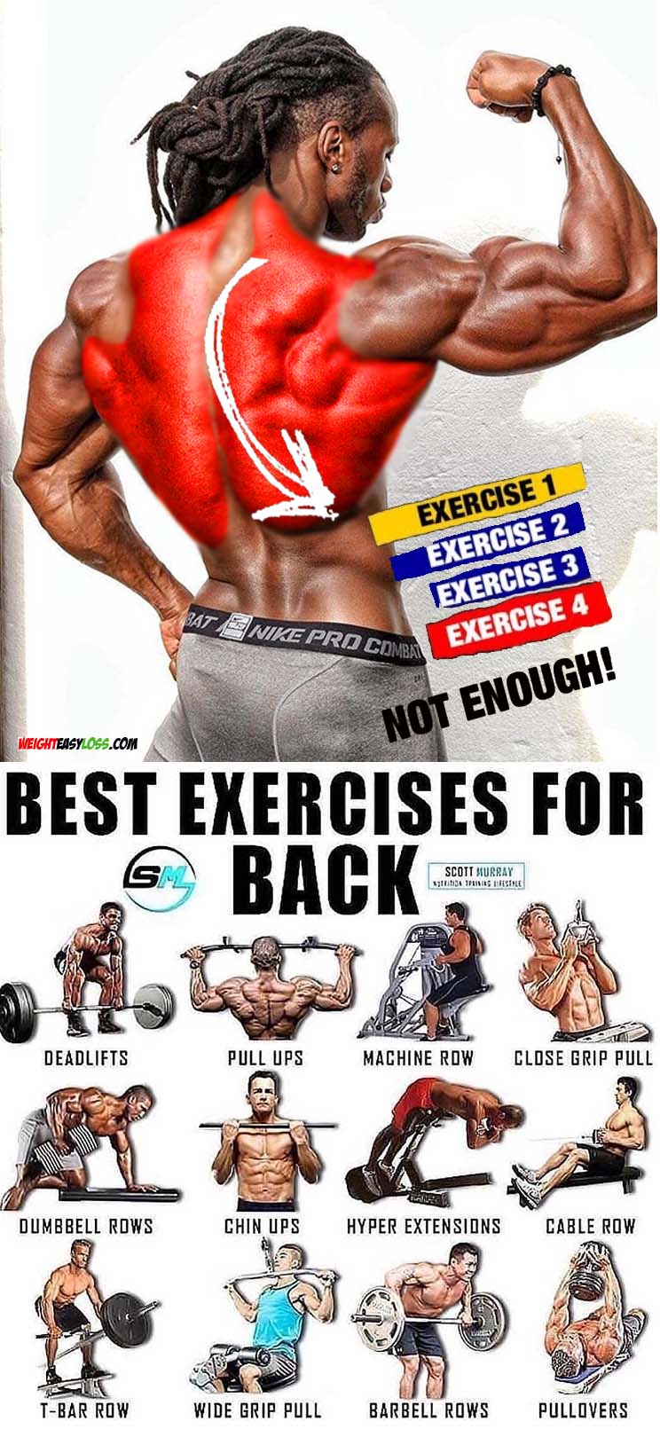 Exercises for Back