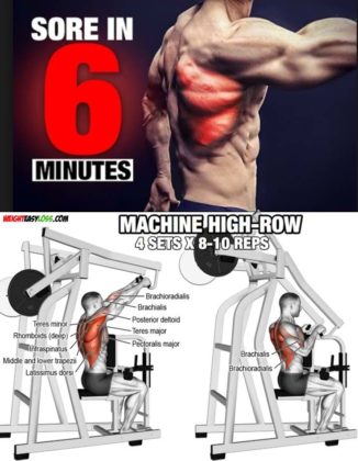 Back High Row Workout