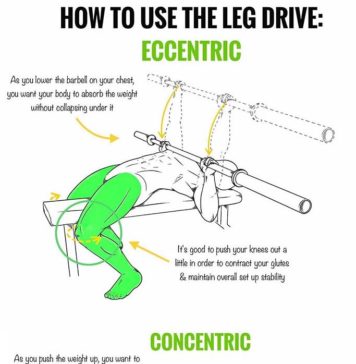 🔥HOW TO LEG DRIVE IN THE BENCH PRESS