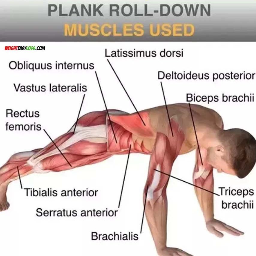 Plank Roll-down