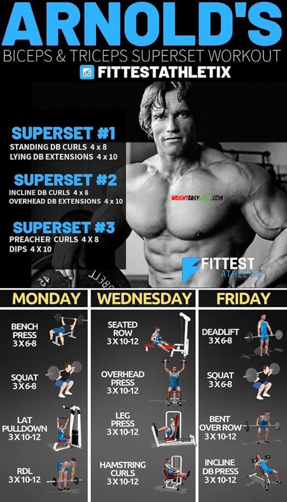 Muscle Building Recipes