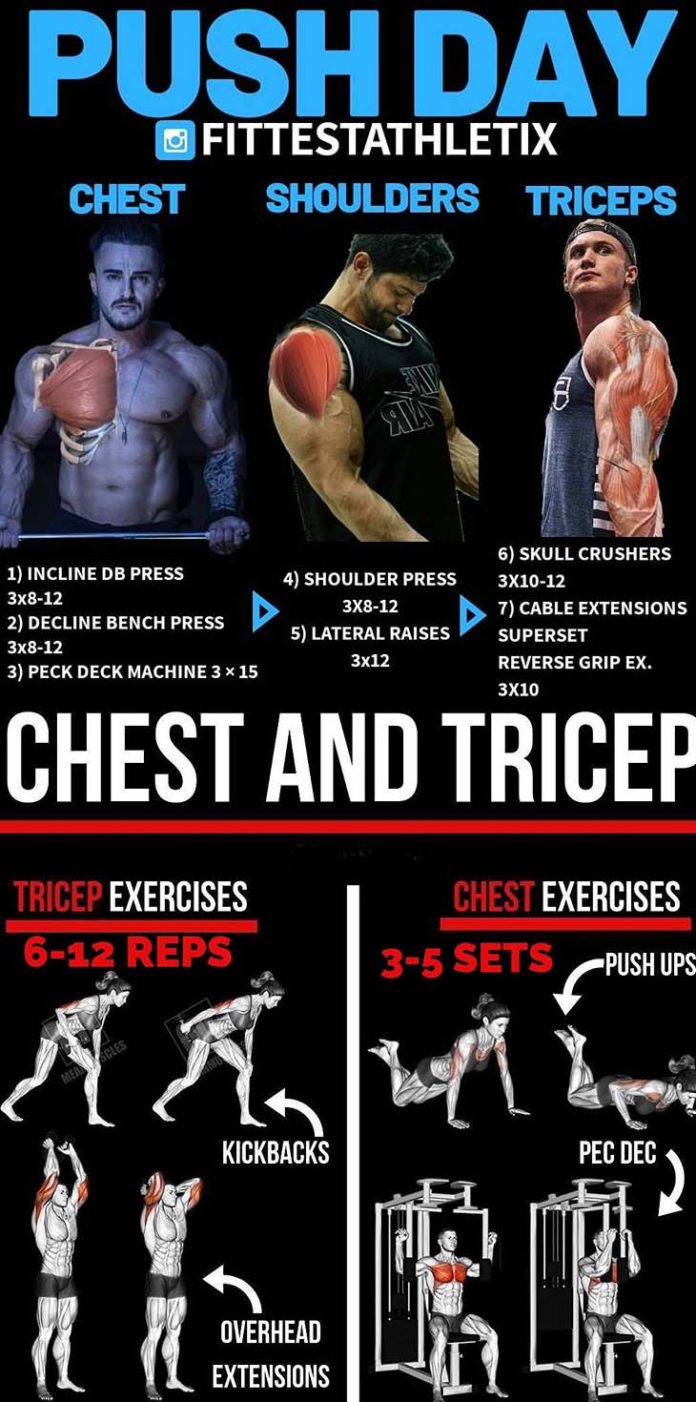 Muscle Building Recipes
