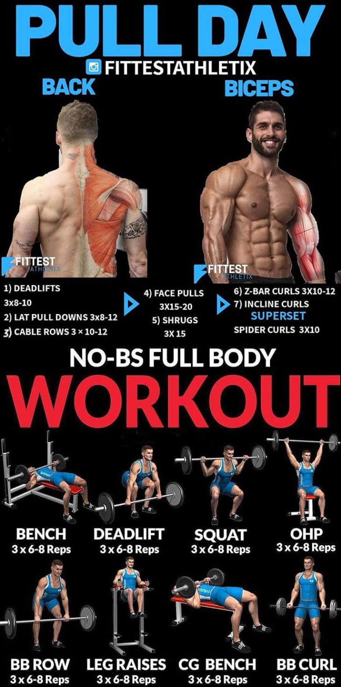 Muscle Building Recipes