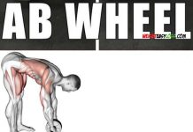 🔥Abdominal Wheel Workout | Video & Guide