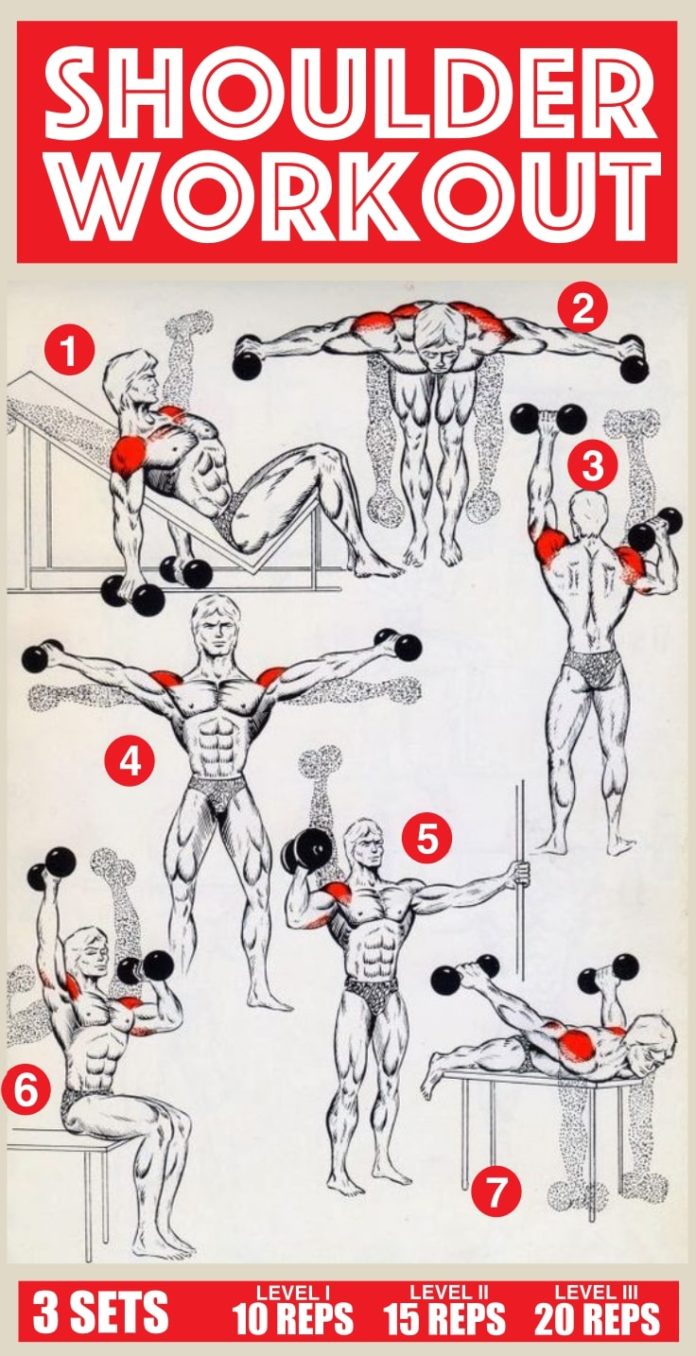 Shoulder Workout Anatomy