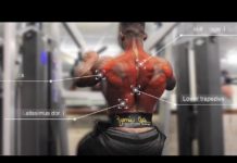 🔥Back High Row Workout