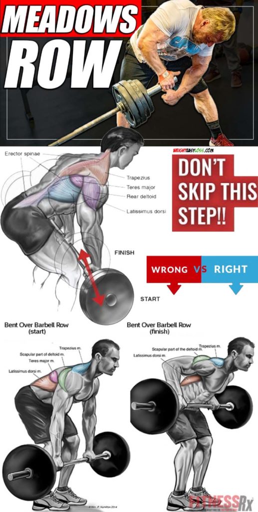 Dumbbell Row Guide | Video