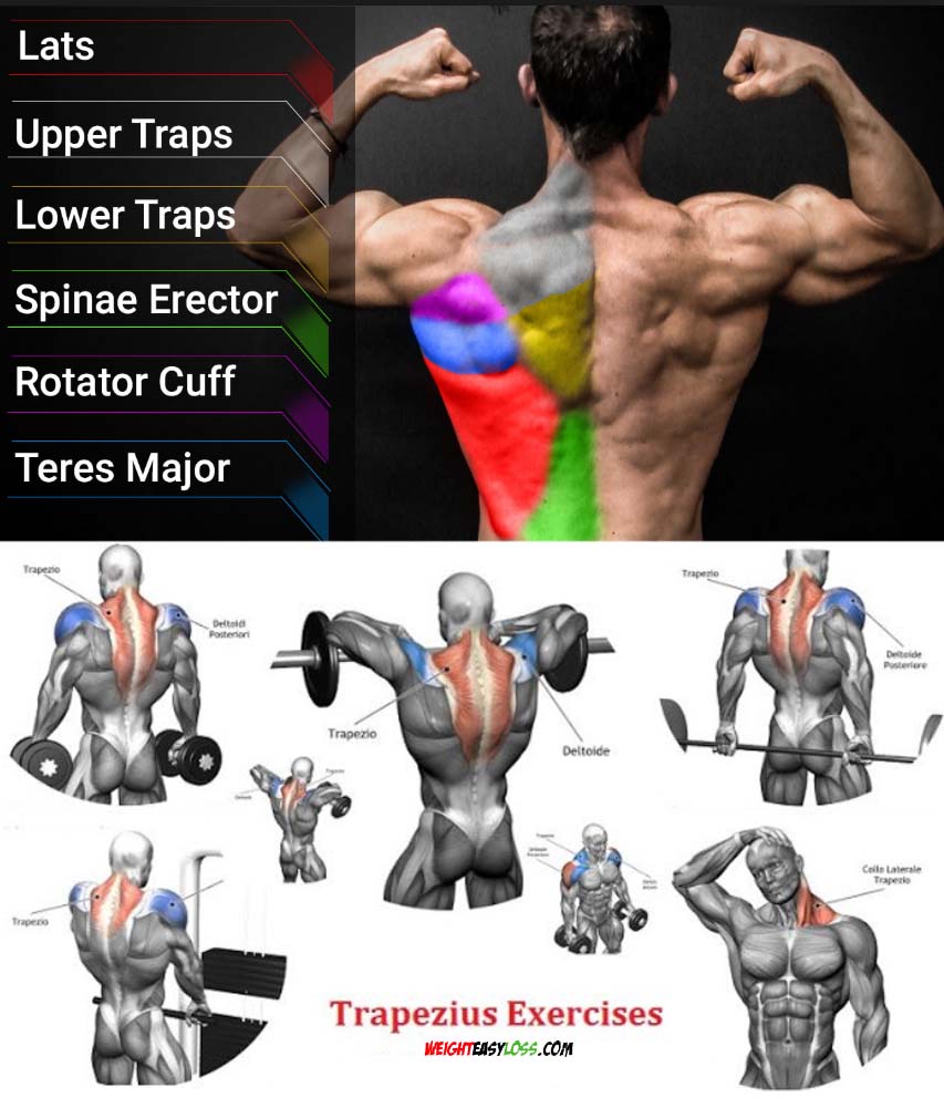 How to Get Bigger Traps 