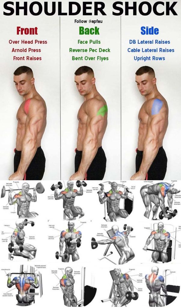 SHOULDER SHOCK GUIDE