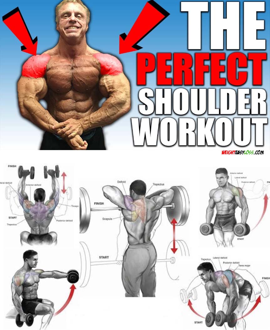 The Perfect Shoulder Workout
