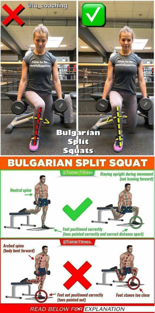 Bulgarian Split Squat Guide 