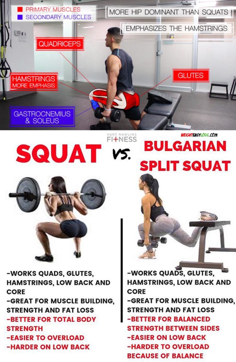 Bulgarian Split Squat Guide 