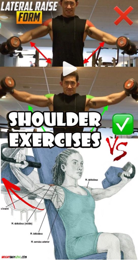 How to do Dumbbell Flys Video & Guide