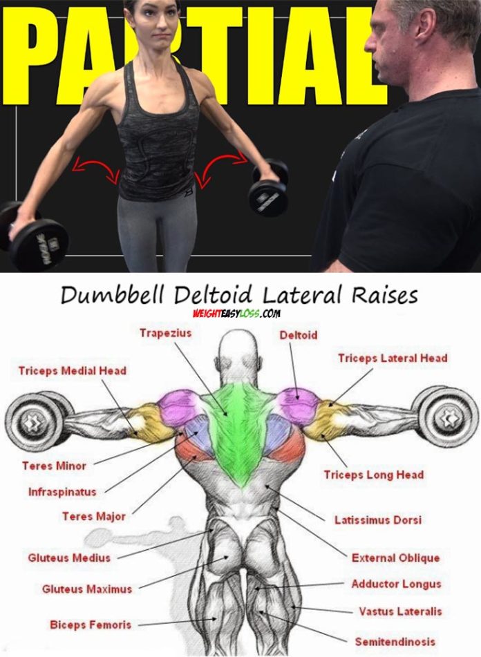 How to do Dumbbell Flys | Video & Guide