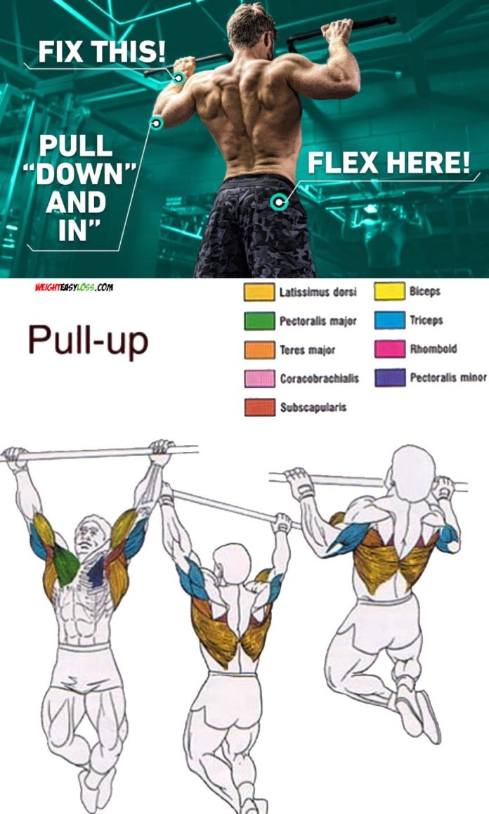 HOW TO WORK PULL UPS