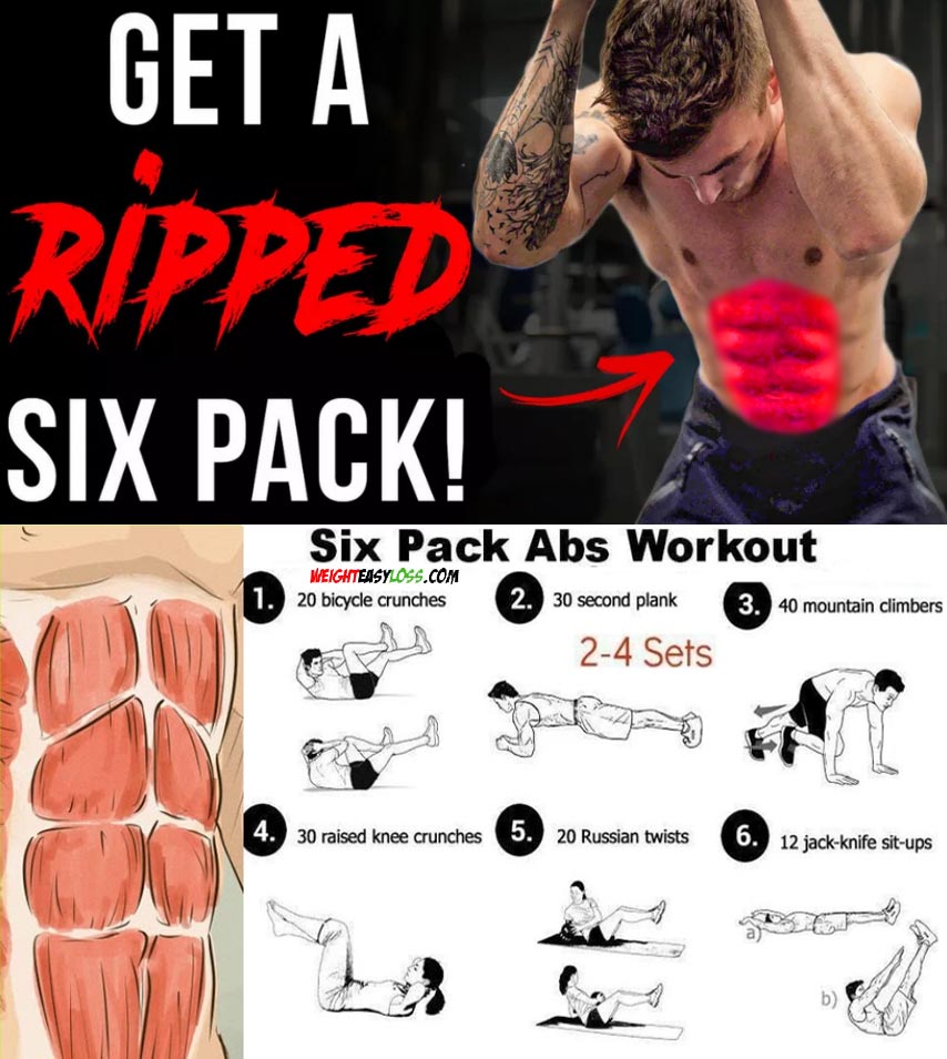 Ripped Six Pack Abs