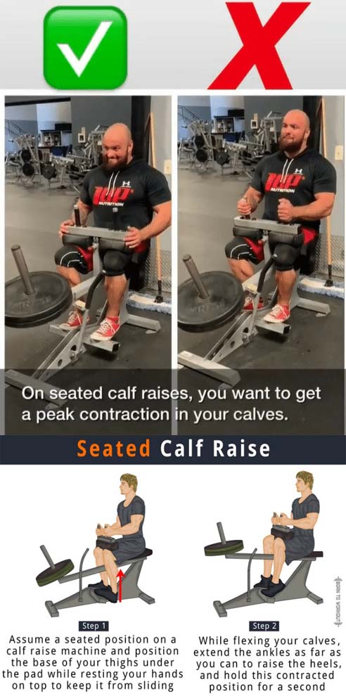 Seated Calf Raise