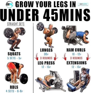 How to Squat: The Definitive Guide