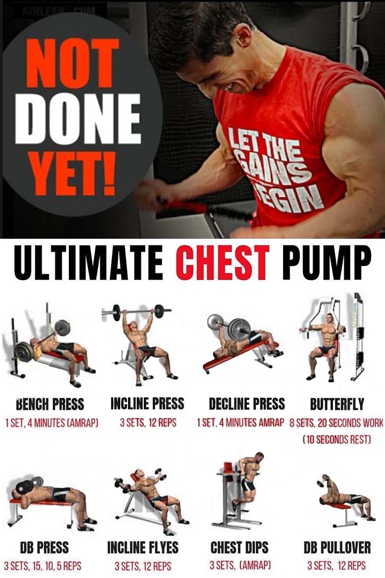 CHEST DAY EXERCISE