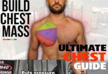 🔥BUILD CHEST MASS GUIDE