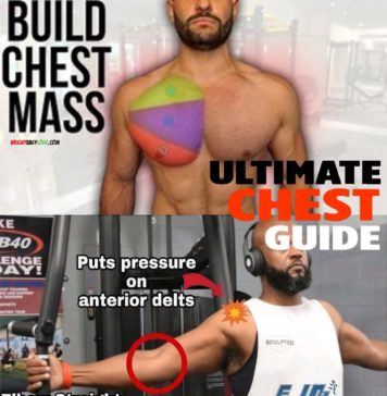 🔥BUILD CHEST MASS GUIDE