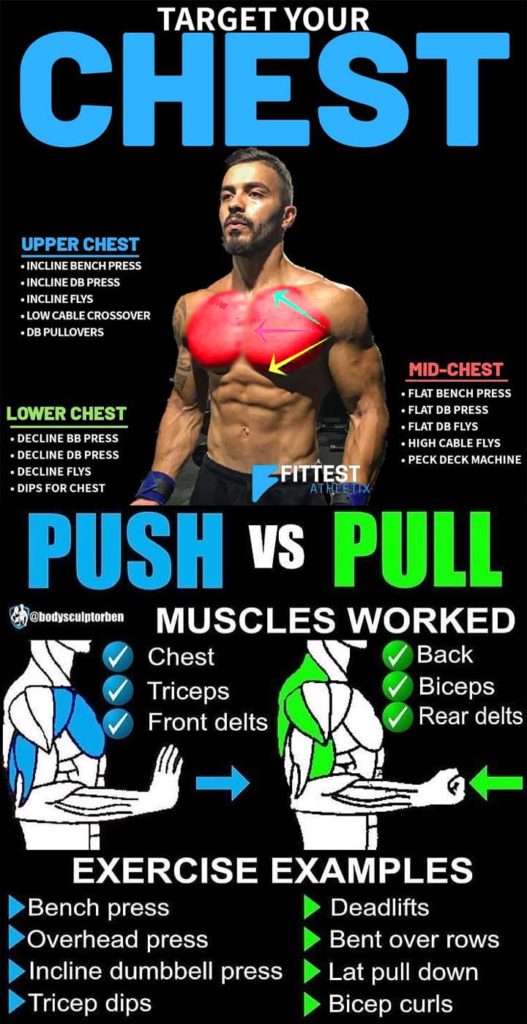 GAINS CHEST | PICTURE & GUIDE