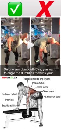 How to Dumbbell Row | Video & Guide