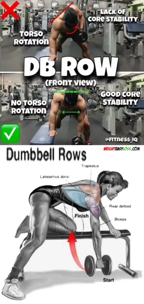 How To Dumbbell Row Video And Guide 