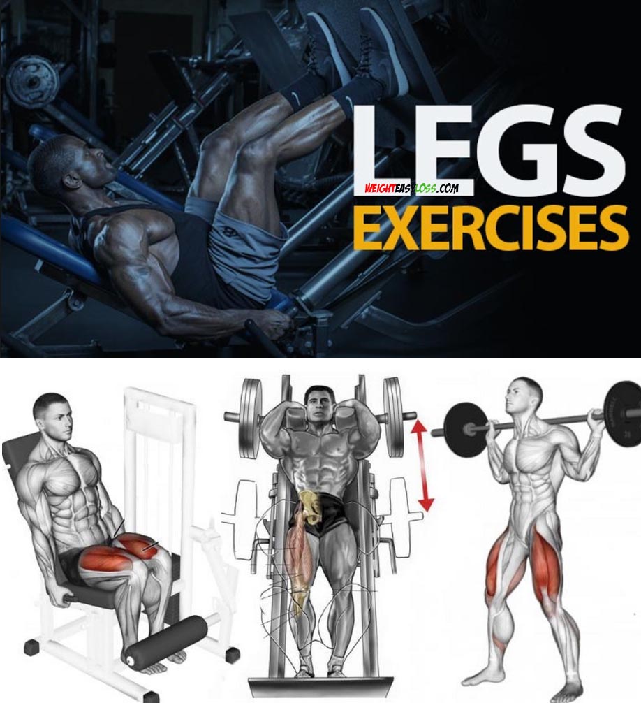 Legs Exercises