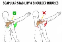 🔥SCAPULAR STRENGTH & 👇SHOULDER INJURIES